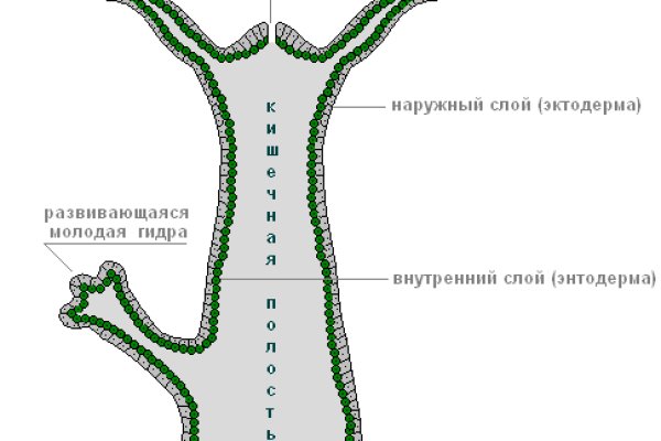 Сайты даркнета