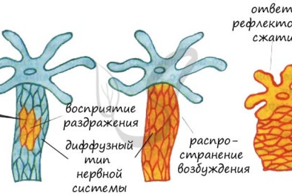 Сайт кракен через тор