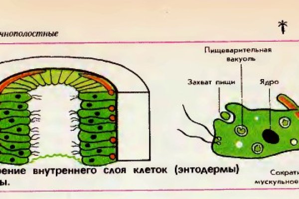 Кракен телегрф