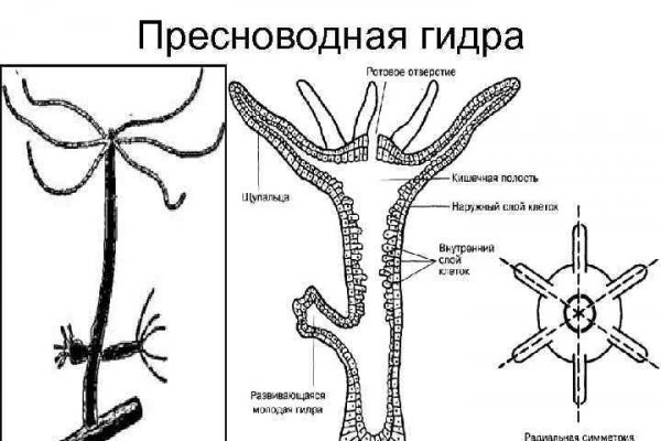 Открыть даркнет