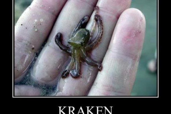 Kraken новая ссылка