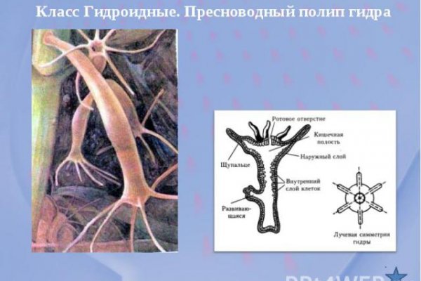 Зайти на кракен рабочее зеркало