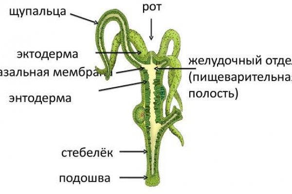 Кракен сайт что это