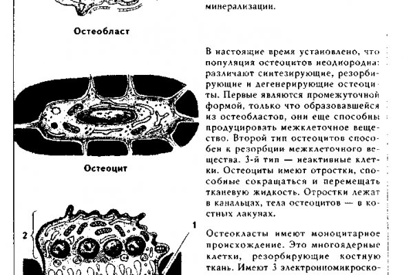 Кракен зеркало krakenat2krnkrnk com